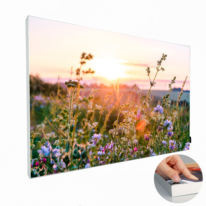 Akustikbild "Wildflowers" 27mm 150 x 100 cm