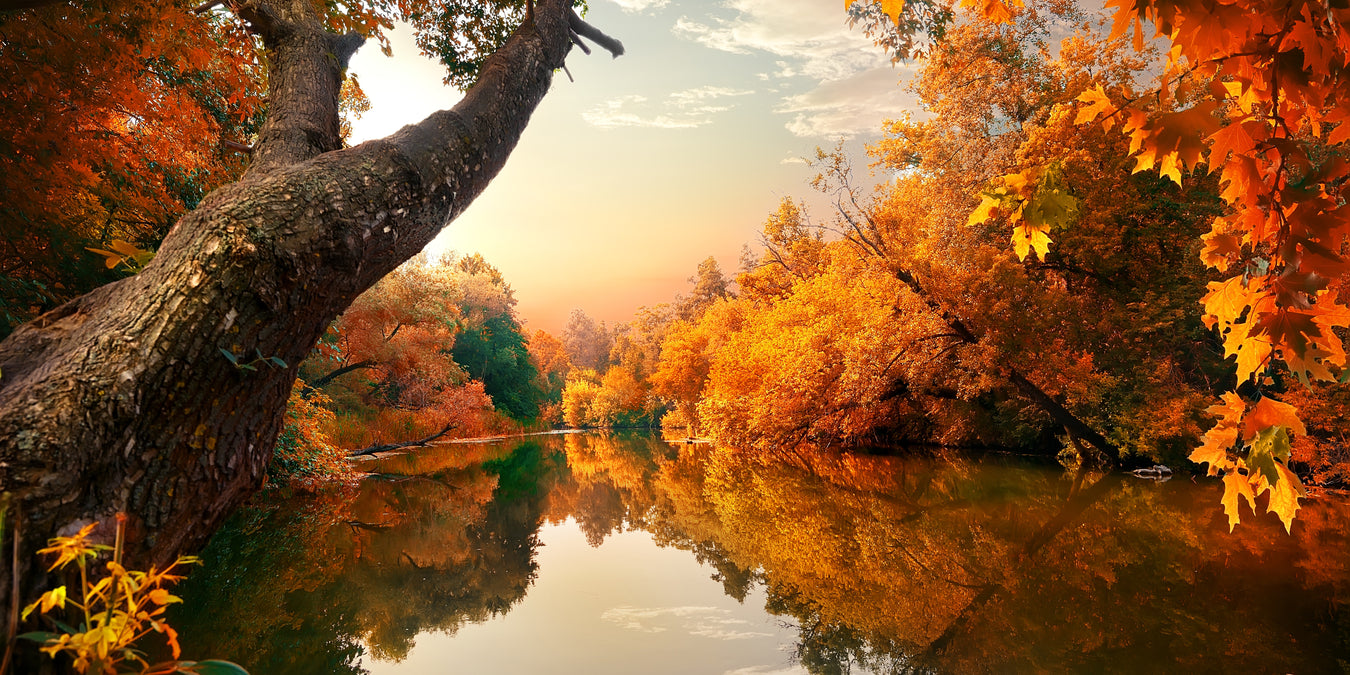 Landschaft