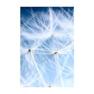 Akustikbild 