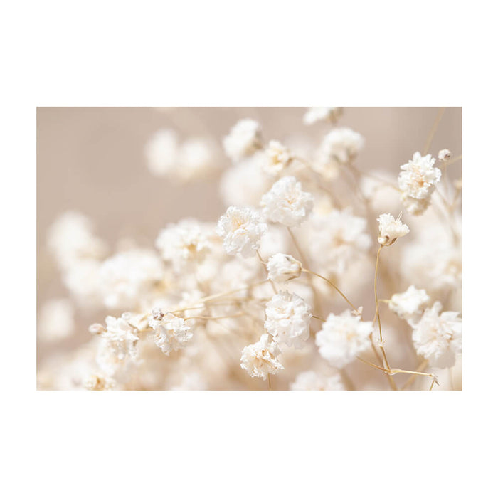 Akustikbild "Gypsophila" 27mm 150 x 100 cm