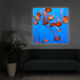 LED Wandbild 