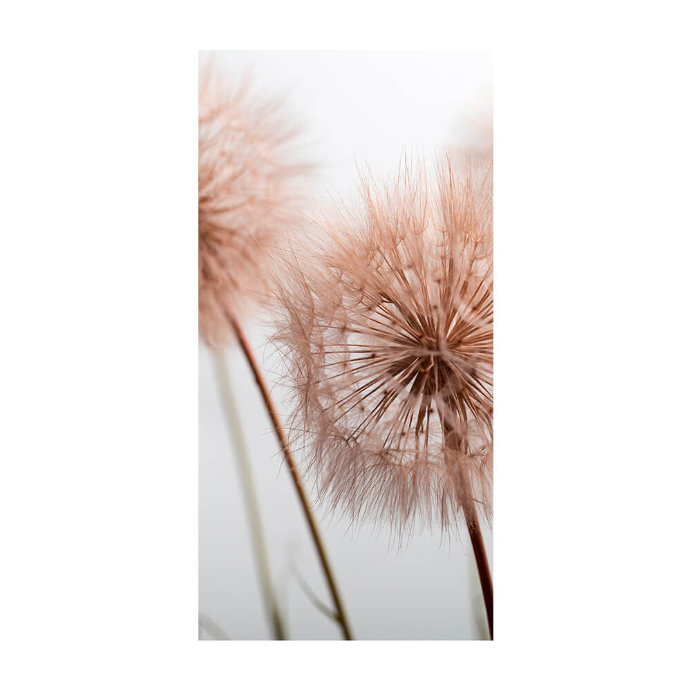 Akustikbild 