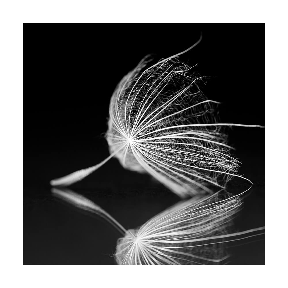 Akustikbild 