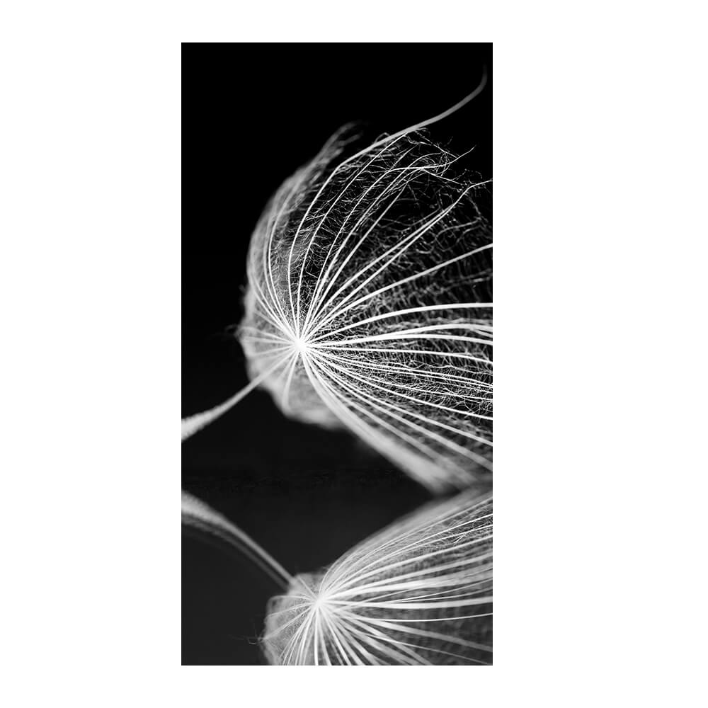 Akustikbild 