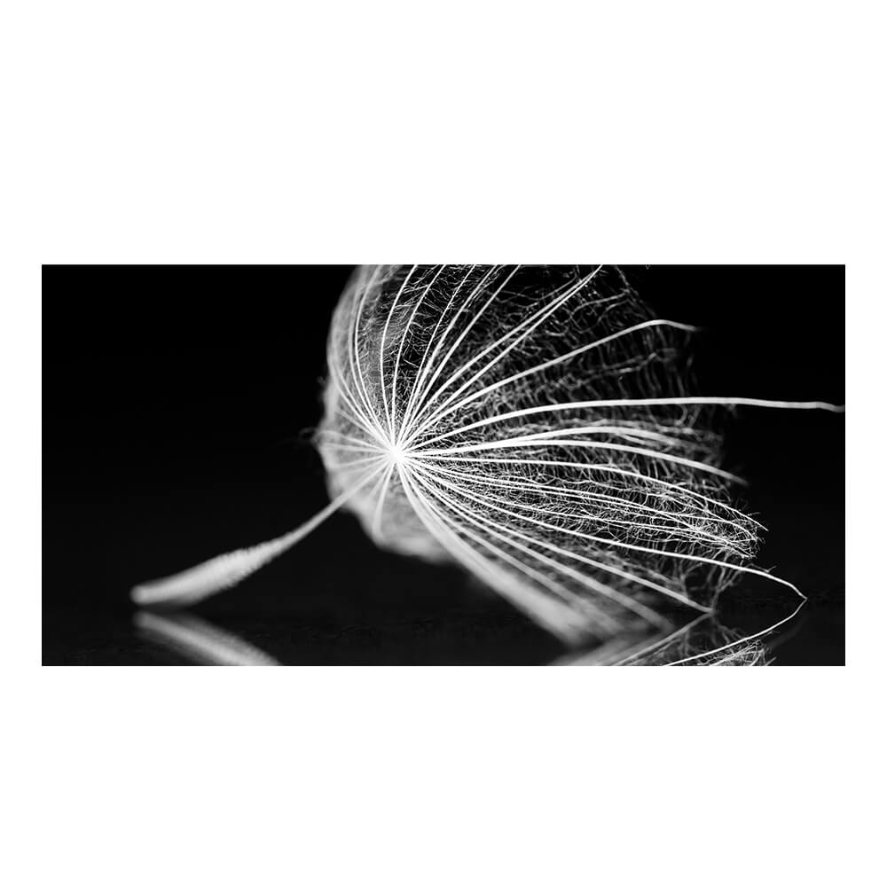 Akustikbild 