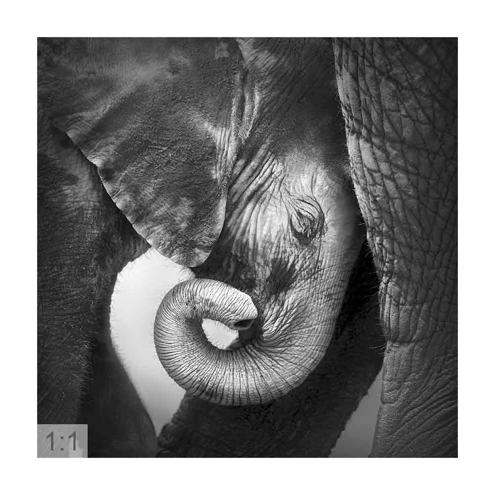 Spannbild 