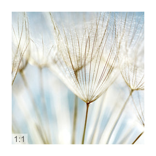 Akustikbild 