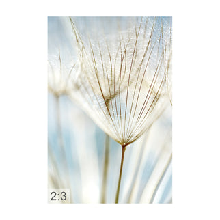 Akustikbild 