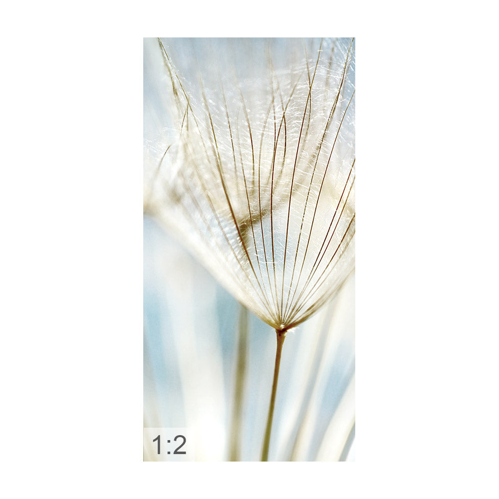 Akustikbild 