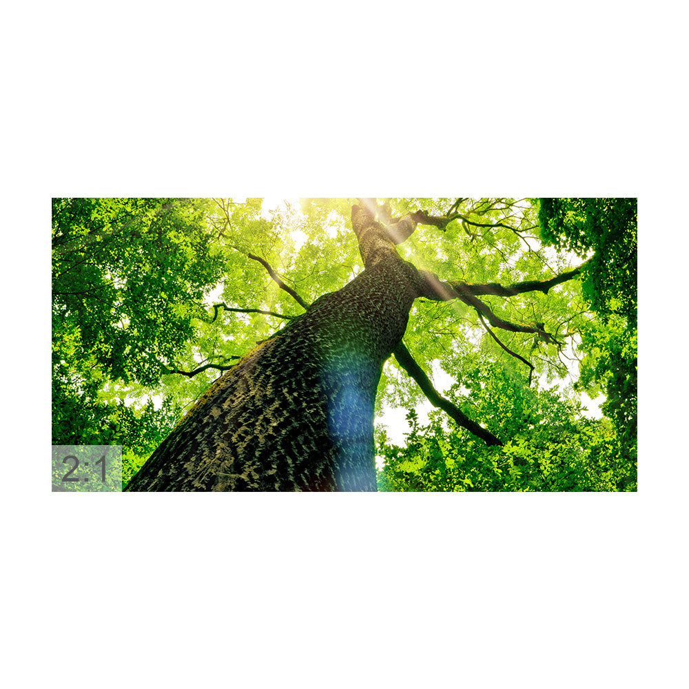 Akustikbild 