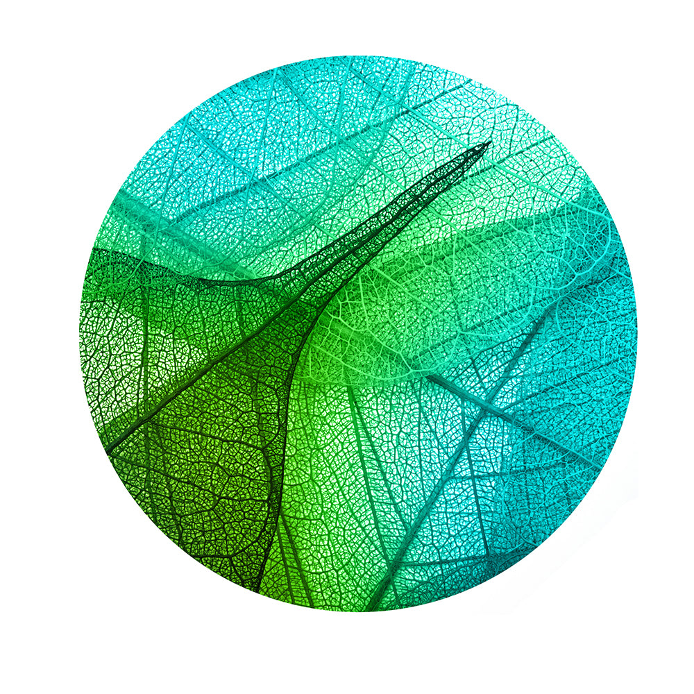 Round acoustic image 