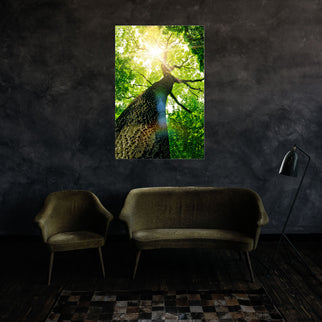 LED Wandbild 