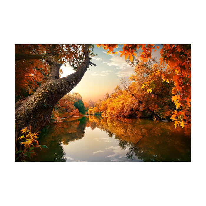 Stretching picture "Orange Autumn"