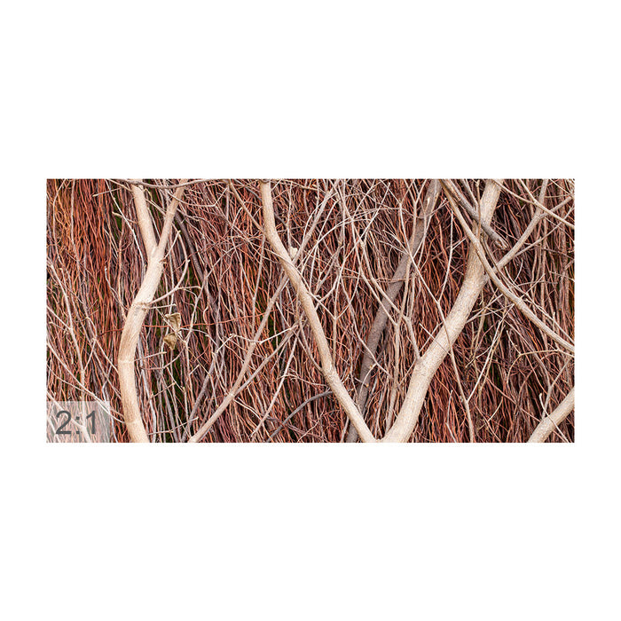 Clamping picture "Brown branches"