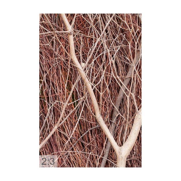 Clamping picture "Brown branches"