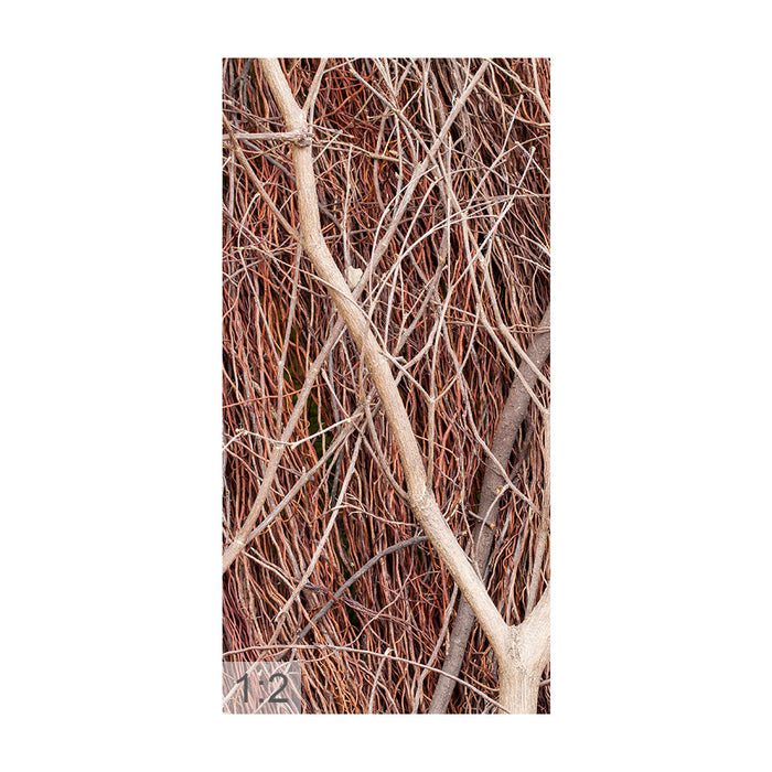Clamping picture "Brown branches"