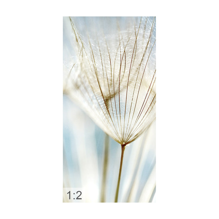 Clamping picture "macro dandelion"