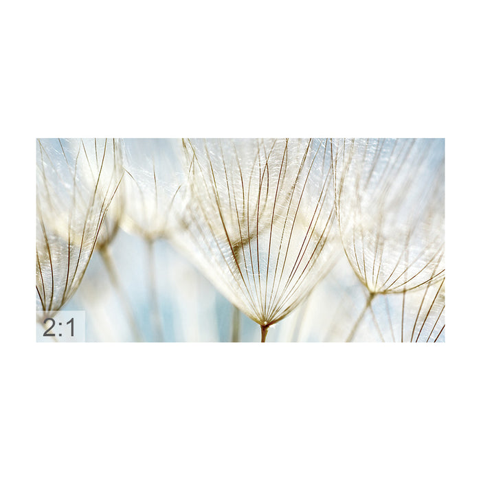 Clamping picture "macro dandelion"