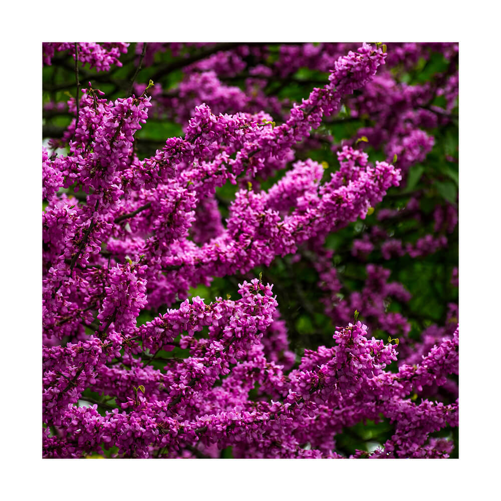 Akustikbild 
