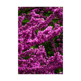 Akustikbild 